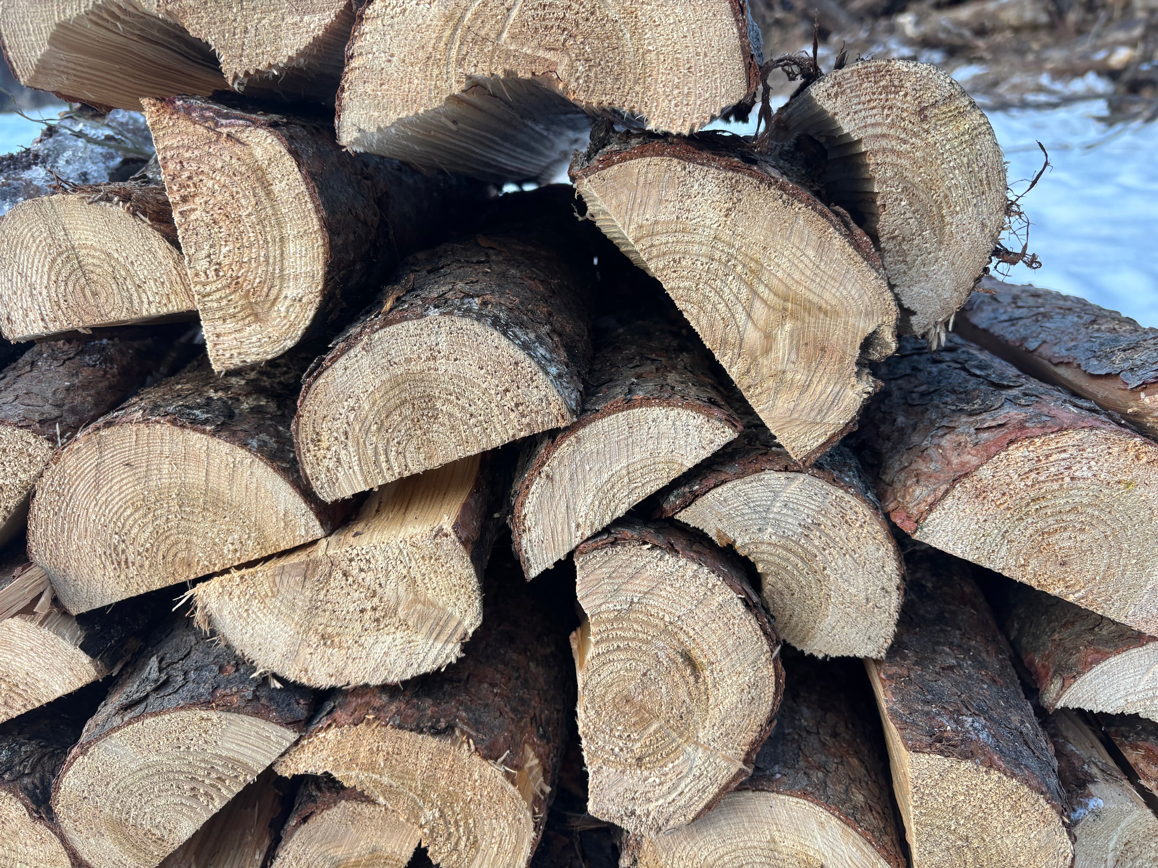 Spruce Firewood Bag